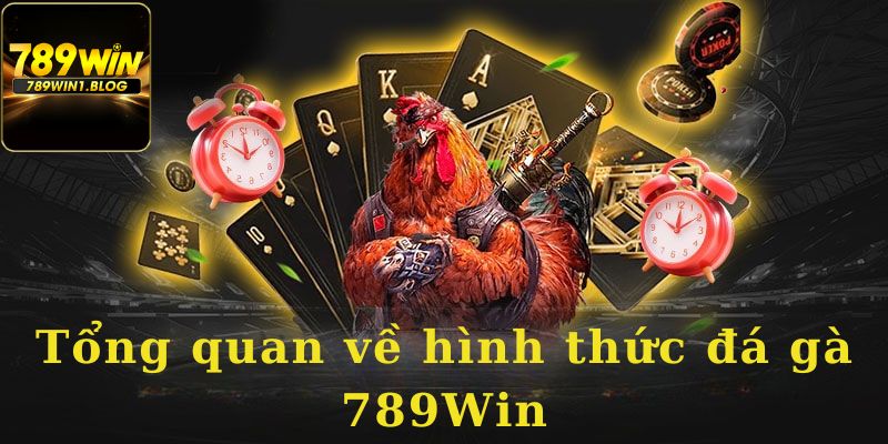 Sơ lược về hình thức giải trí đá gà 789Win